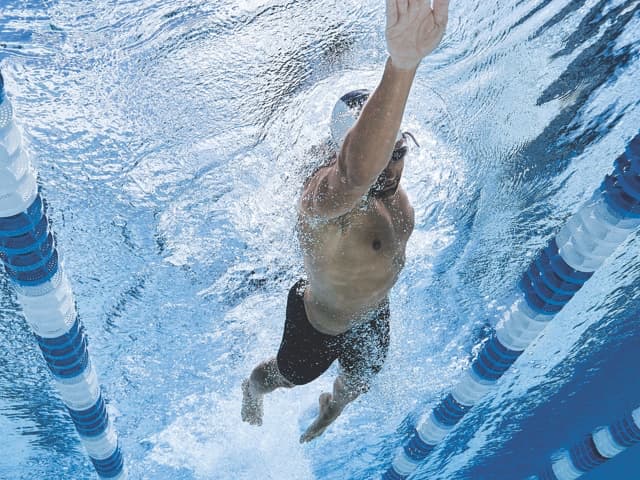 Adult Lessons and Masters Swimming